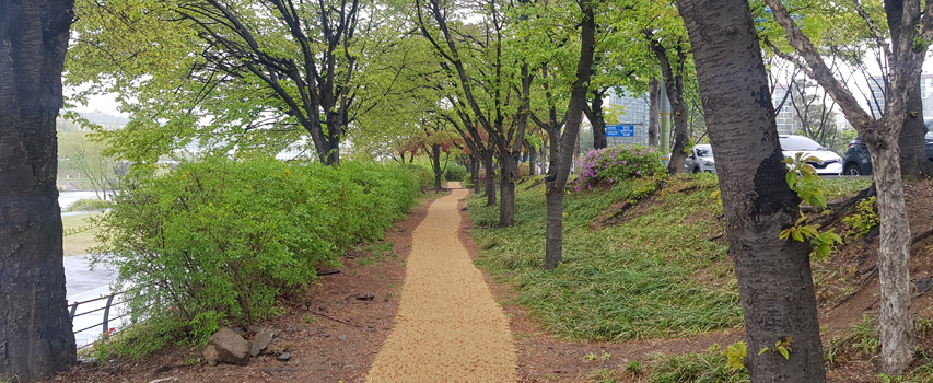2길(탄천로) 산책로 사진1